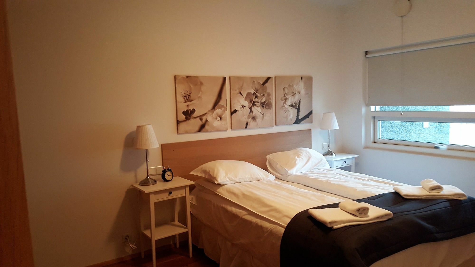 Central Premium Luxury Apartments Reykjavik Extérieur photo