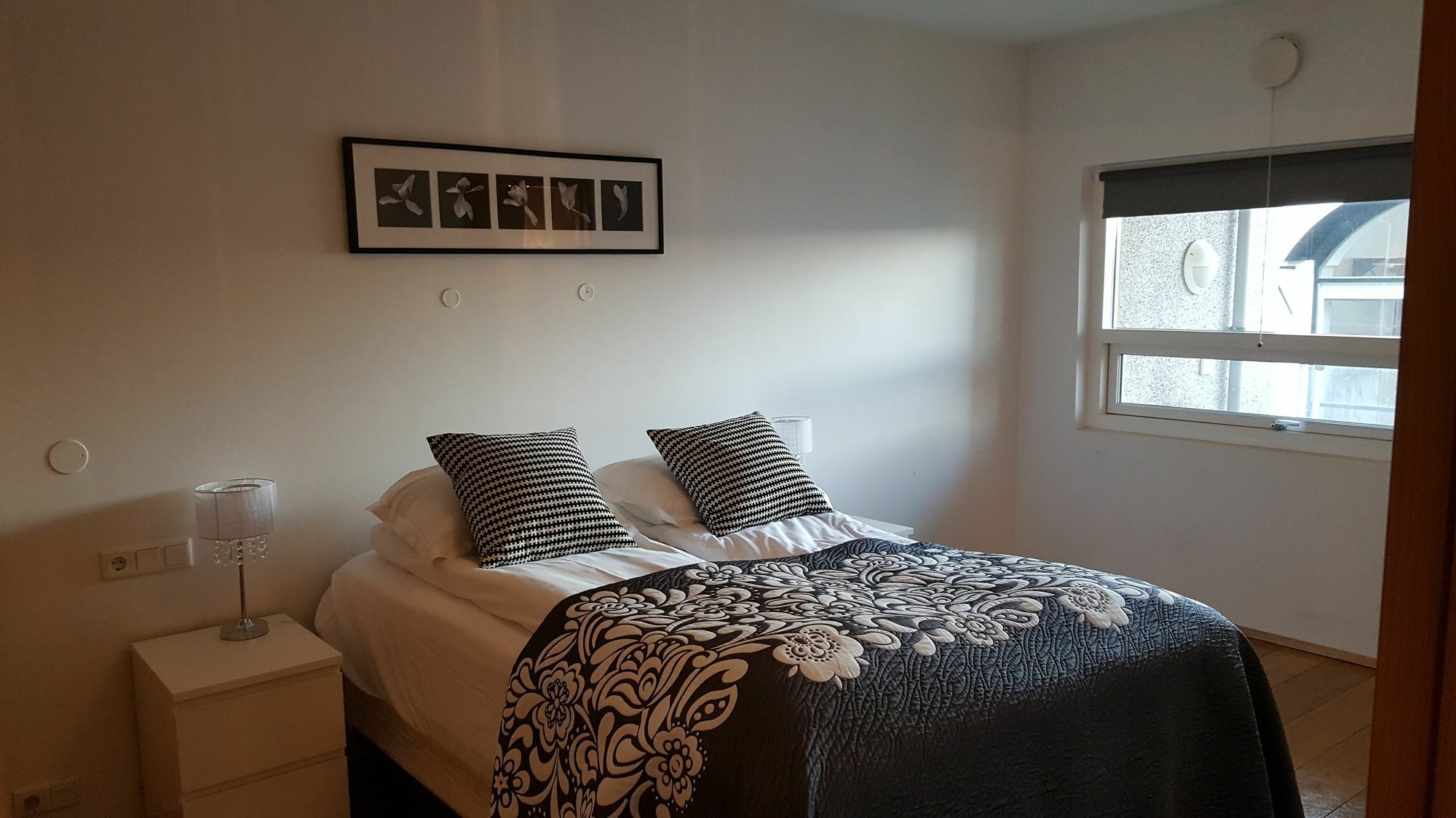 Central Premium Luxury Apartments Reykjavik Extérieur photo
